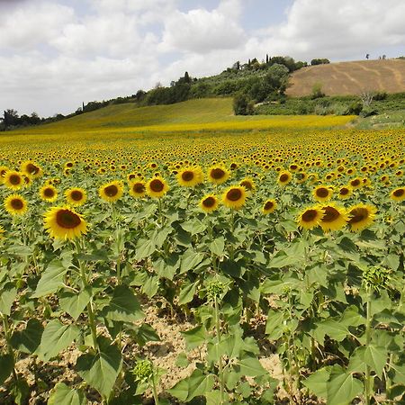 הוילה צ'רטו גואידי Tenuta Di Colle Alberti Agriturismo מראה חיצוני תמונה