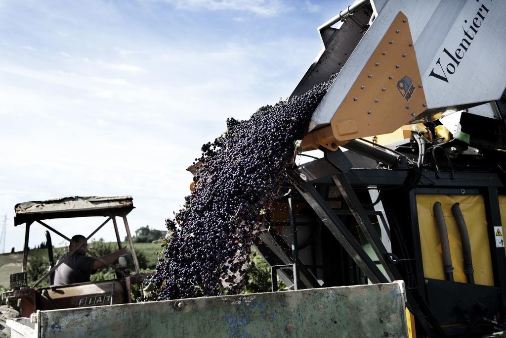 הוילה צ'רטו גואידי Tenuta Di Colle Alberti Agriturismo מראה חיצוני תמונה