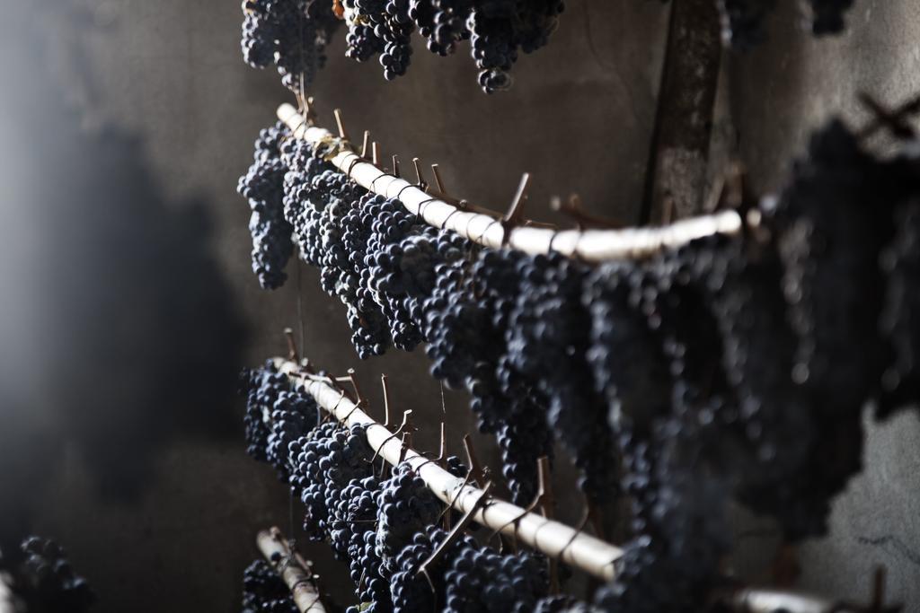 הוילה צ'רטו גואידי Tenuta Di Colle Alberti Agriturismo מראה חיצוני תמונה