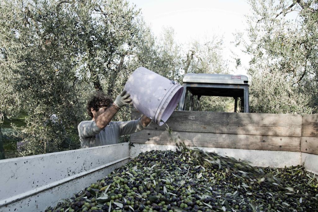 הוילה צ'רטו גואידי Tenuta Di Colle Alberti Agriturismo מראה חיצוני תמונה