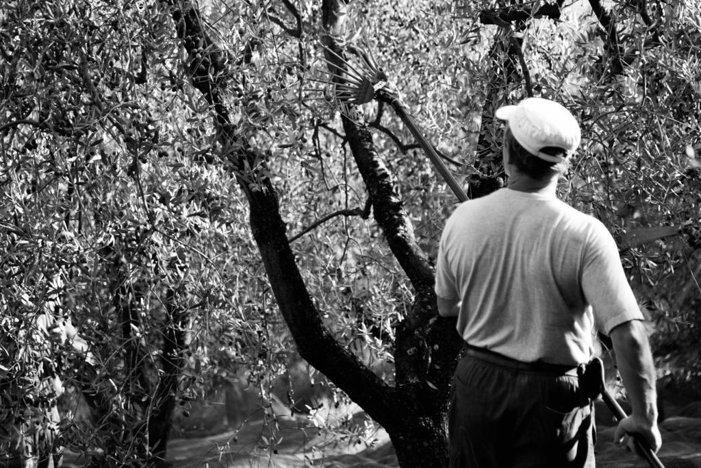 הוילה צ'רטו גואידי Tenuta Di Colle Alberti Agriturismo מראה חיצוני תמונה