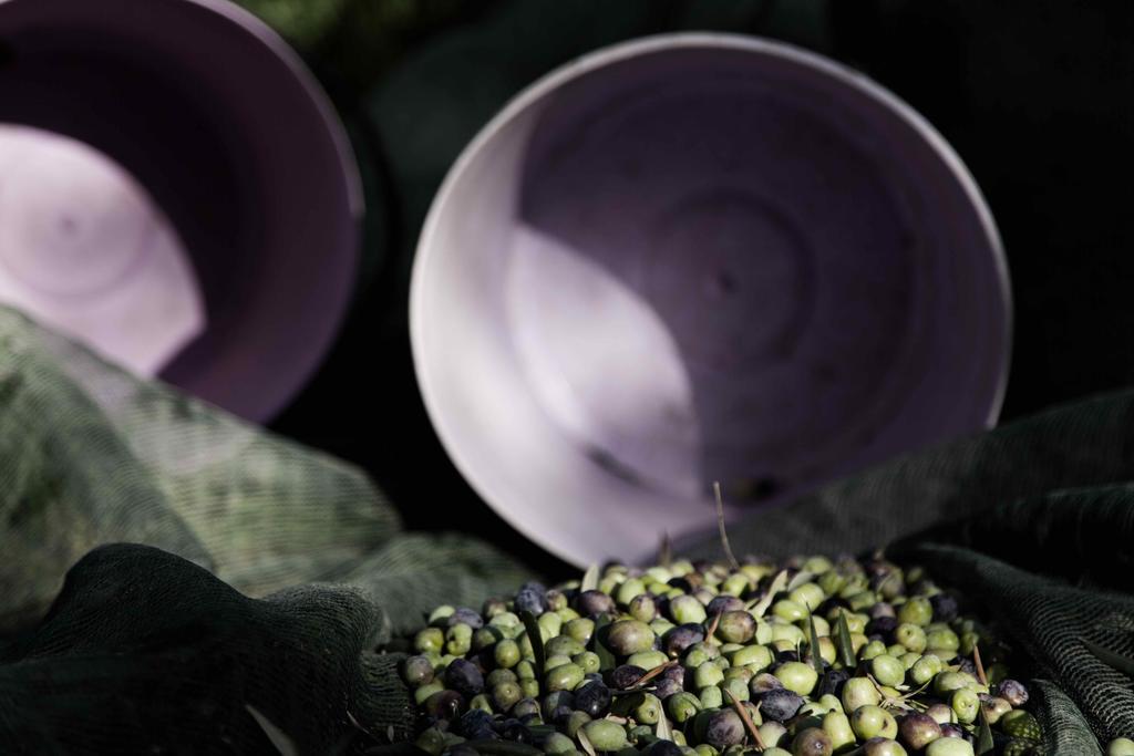 הוילה צ'רטו גואידי Tenuta Di Colle Alberti Agriturismo מראה חיצוני תמונה