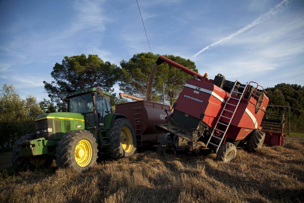 הוילה צ'רטו גואידי Tenuta Di Colle Alberti Agriturismo מראה חיצוני תמונה