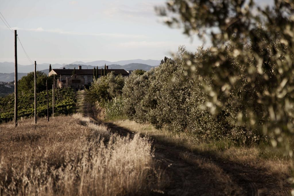הוילה צ'רטו גואידי Tenuta Di Colle Alberti Agriturismo מראה חיצוני תמונה