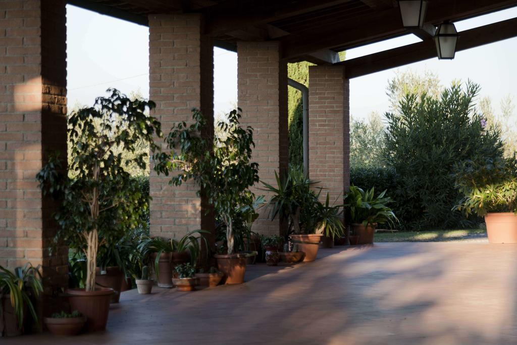 הוילה צ'רטו גואידי Tenuta Di Colle Alberti Agriturismo מראה חיצוני תמונה